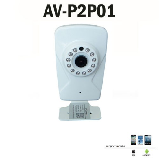 AV-P2P01